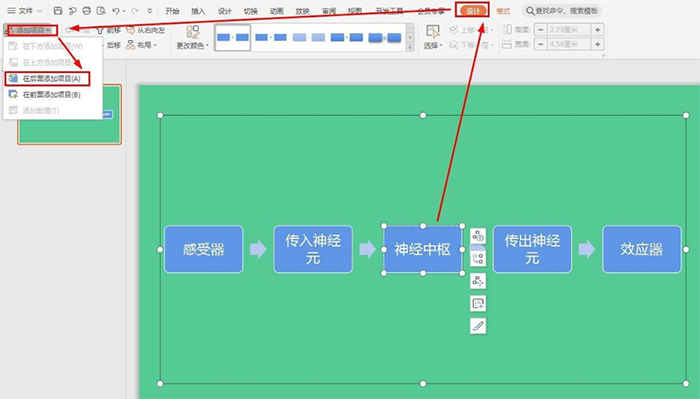 怎样快速制作反射弧传导途径图